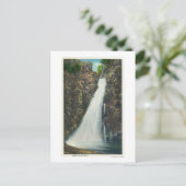 Carte Postale White Mountains Nat'l Forest (Debout devant)