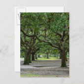 Carte Postale White Point Gardens (Devant / Derrière)