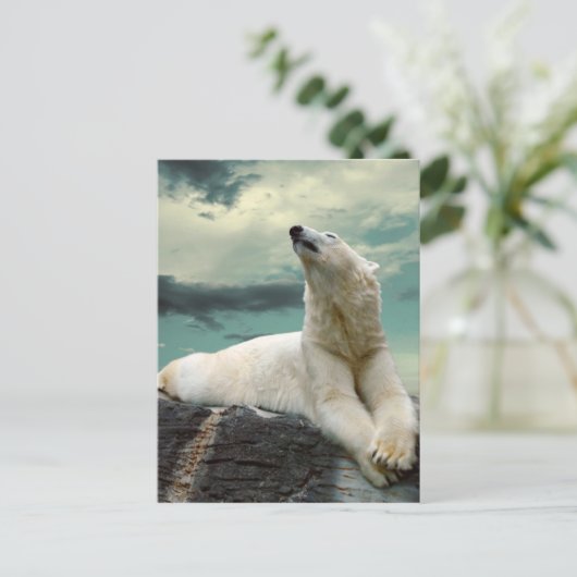 Carte Postale White Polar Bear (Debout devant)