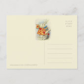Carte Postale White Rabbit herald John Tenniel CC1125 Fairytale (Dos)