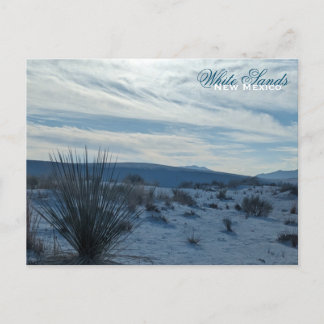 Carte Postale White Sands New Mexico Desert Southwest Sand Dunes