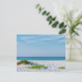 Carte postale White Sandy Beach Florida Coastline (Debout devant)