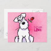 Carte Postale White Schnauzer Rose message d'amour personnalisé (Devant / Derrière)