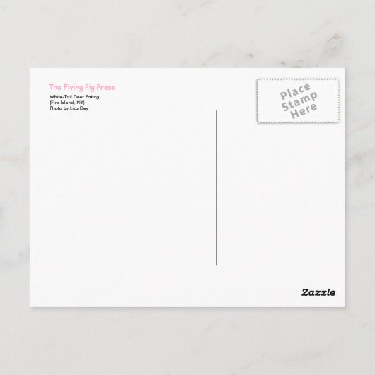 Carte postale 'White Tail Deer Eating' (Dos)