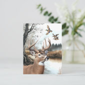 Carte Postale White Tail Deer et Mallards scène nature (Debout devant)