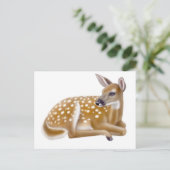 Carte postale White Tail Deer Fawn (Debout devant)