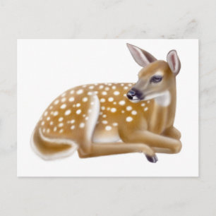 Carte postale White Tail Deer Fawn