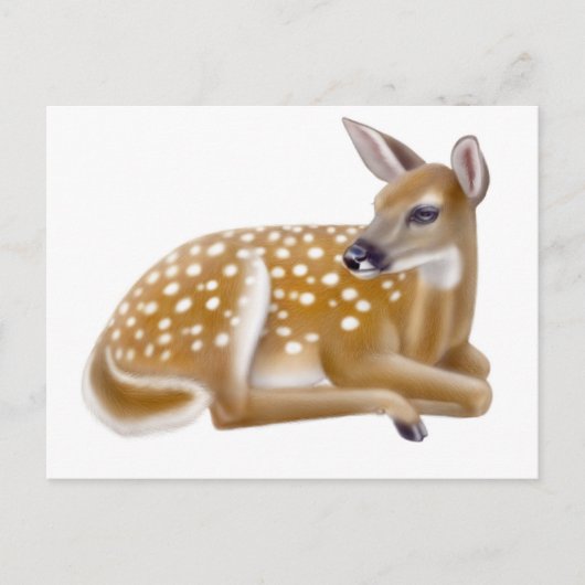 Carte postale White Tail Deer Fawn (Devant)