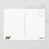 Carte Postale White Tailed (Dos)