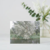 Carte postale White Tree and River Landcape (Debout devant)