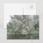Carte postale White Tree and River Landcape (Devant / Derrière)