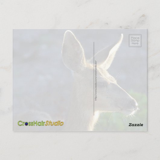 Carte Postale WhiteTail (Dos)