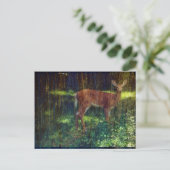 Carte Postale Whitetail Deer (Debout devant)