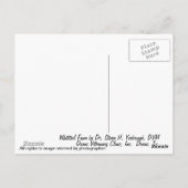 Carte Postale Whitetail Fawn (Dos)