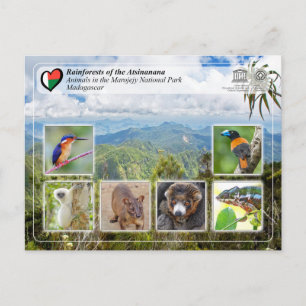 Carte Postale WHS UNESCO - Atsinanana - Parc national de Marojej