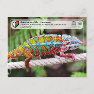 Carte Postale WHS UNESCO - Atsinanana - Parc National Masoala