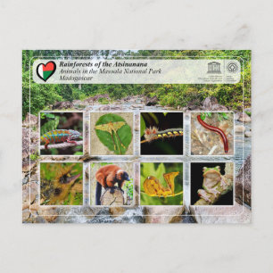 Carte Postale WHS UNESCO - Atsinanana - Parc National Masoala