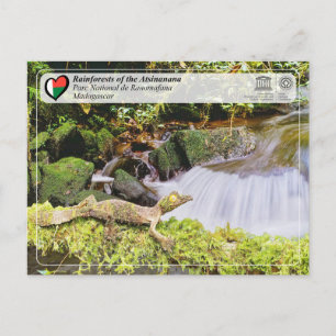 Carte Postale WHS UNESCO - Atsinanana - Parc national Ranomafana
