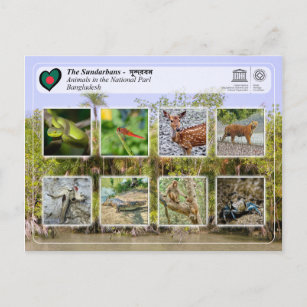 Carte Postale WHS UNESCO - Les Sundarbans