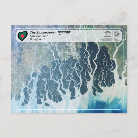 Carte Postale WHS UNESCO - Les Sundarbans (Devant)