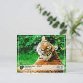 Carte Postale WHS UNESCO - Les Sundarbans (Debout devant)