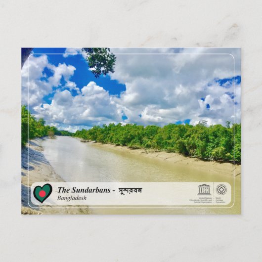 Carte Postale WHS UNESCO - Les Sundarbans (Devant)