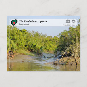 Carte Postale WHS UNESCO - Les Sundarbans - সু ন্ দ র ব ন