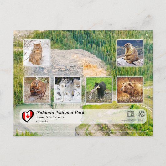 Carte Postale WHS UNESCO - Parc national de Nahanni (Devant)