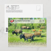 Carte Postale WHS UNESCO - Parc national de Wood Buffalo (Devant / Derrière)