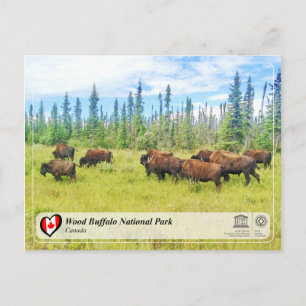 Carte Postale WHS UNESCO - Parc national de Wood Buffalo