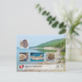 Carte Postale WHS UNESCO - Parc national Miguasha (Debout devant)