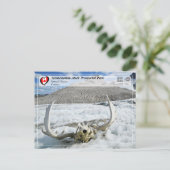 Carte Postale WHS UNESCO - Parc provincial Tatshenshini-Alsek (Debout devant)