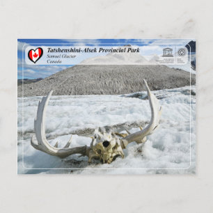 Carte Postale WHS UNESCO - Parc provincial Tatshenshini-Alsek