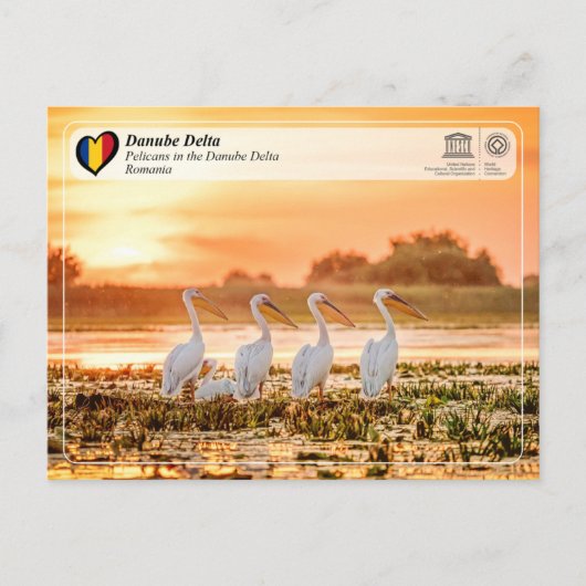 Carte Postale WHS UNESCO - Pélicans dans le delta du Danube (Devant)