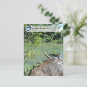 Carte Postale WHS UNESCO - Réserve de biosphère Río Plátano (Debout devant)