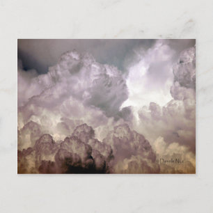 Carte postale Wicked