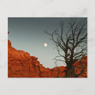 Carte Postale Wicked Moon