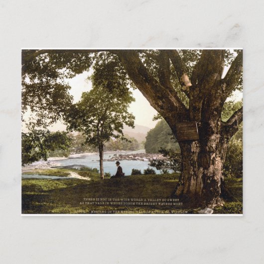 Carte Postale Wicklow Ireland, poème Thomas Moore Avoca (Devant)