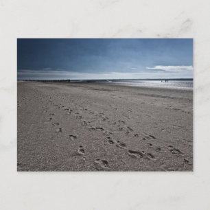 Carte Postale Wide beach at the Nord Sea