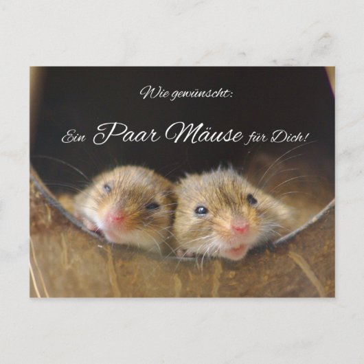 Carte Postale Wie gewünscht : Ein paar Mäuse für Dich! (Devant)
