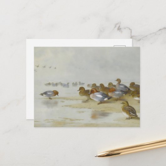 Carte Postale Wigeon et Turquoise au bord de l'eau, Art (Devant/Arrière en situation)