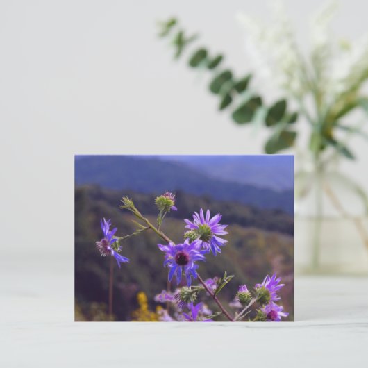 Carte postale Wild Asters (Debout devant)