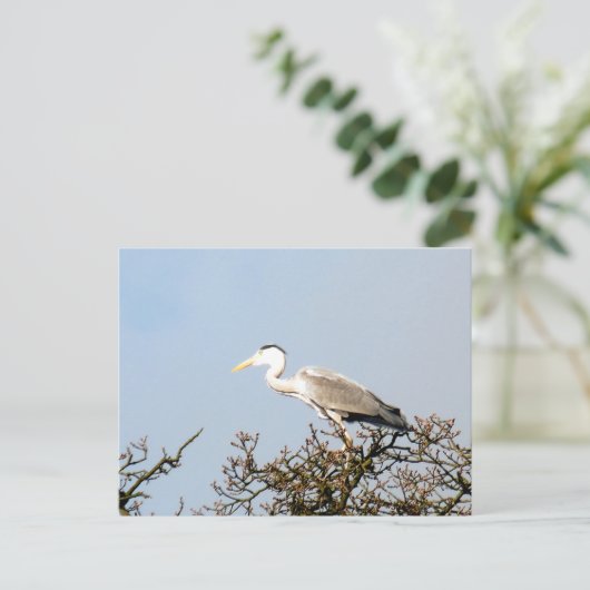 CARTE POSTALE WILD BIRD HERON (Debout devant)