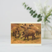 Carte postale Wild Boar (Debout devant)