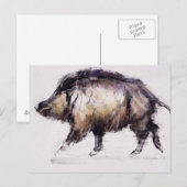 Carte Postale Wild Boar 1999 (Devant / Derrière)