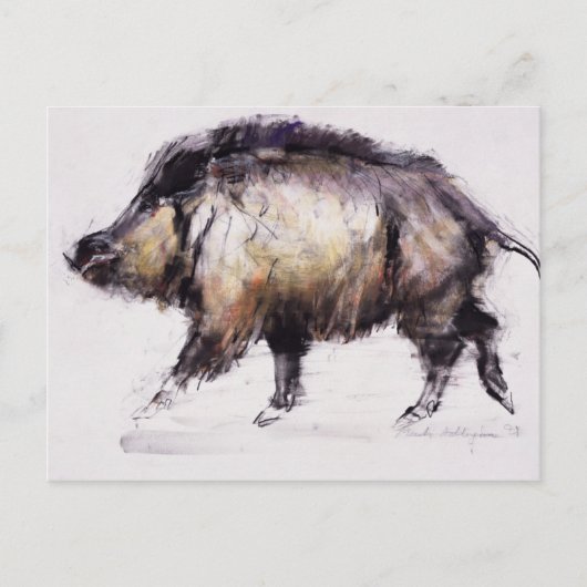 Carte Postale Wild Boar 1999 (Devant)