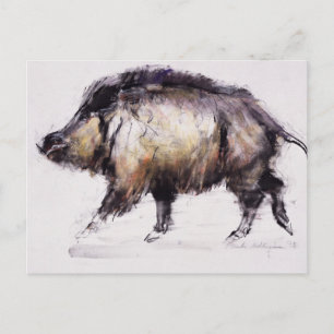 Carte Postale Wild Boar 1999