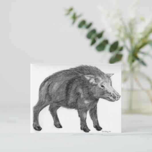 Carte Postale Wild Boar, position défensive (Debout devant)