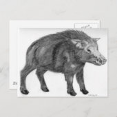 Carte Postale Wild Boar, position défensive (Devant / Derrière)