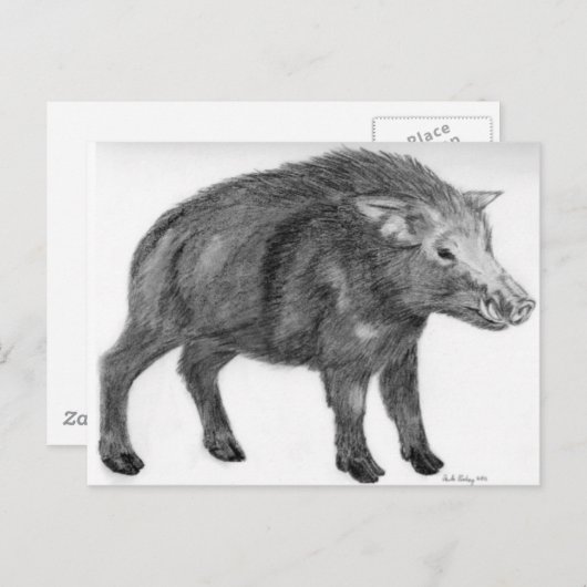 Carte Postale Wild Boar, position défensive (Devant / Derrière)
